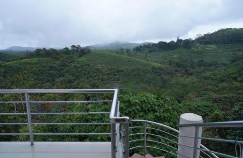 Vagamon Cama Y Desayuno | Vagamon Tea County