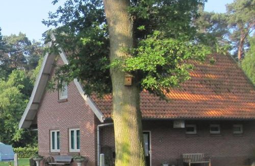 Bavinkel Casa | Vakantiehuis in een prachtige bosrijke omgeving in Twente!