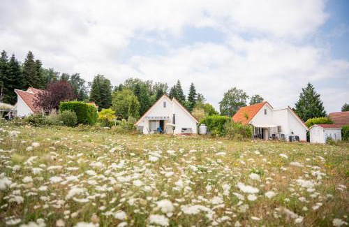 Daumazan-sur-Arize Casa | Vakantiepark Chateau Cazaleres