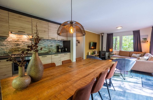 Municipality of Westerveld Chalet De Esquí | Vakantiepark De Wiltzangh - Fins Chalet 6