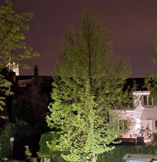 Ronse Casa | Vakantiewoning Whouse