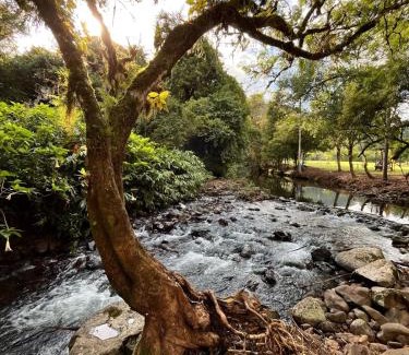 Riozinho Otro | Vale do Rio Bonito Glamping