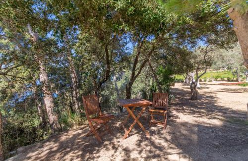 Valldemossa Casa | Valldemossa - 2813-88 Mallorca