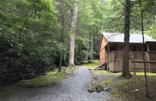 Boone Cabina | Valle Crucis Farm Cabin Rental ofrece senderismo, pesca, trineo en la propiedad.