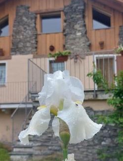 Aymavilles Casa | Valle D'Aosta a 360° - Ideal for smart working