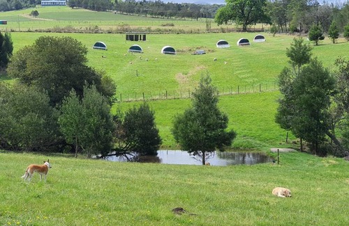 Knysna Casa | Valley Farm Stay