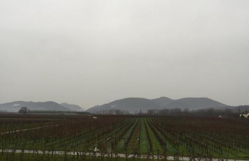 Heuchelheim-Klingen Apartamento | Valley ferienwohnung SÜW