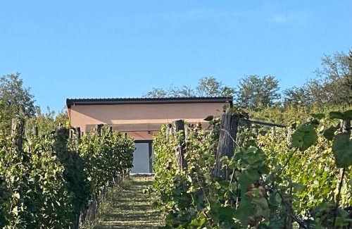 Bodani Casa | Valley of Bikic