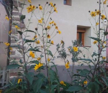 Berceo Apartamento | Valvanera 30
