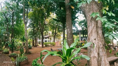 Ban Lung Cama Y Desayuno | VANESSA'S GARDEN Restaurant & Bungalow