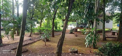 Ban Lung Cama Y Desayuno | VANESSA'S GARDEN Restaurant & Bungalow