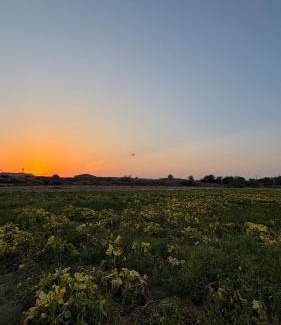 Ras Al Khaimah Otro | Vanstay glamping in a 25 acre farm