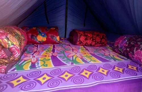Kedarnath Otro | VASHU CAMPSITE KEDARNATh