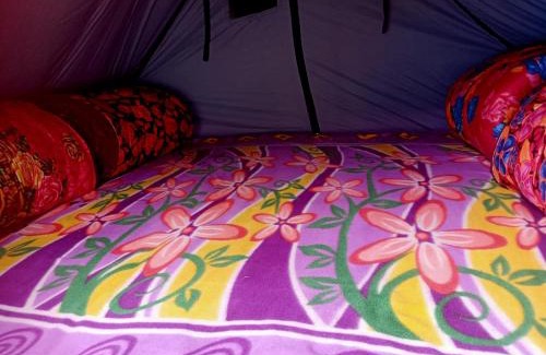 Kedarnath Otro | VASHU CAMPSITE KEDARNATh