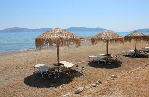 Plepi Casa | Vassia Holiday Home's