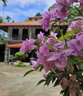 Madikeri Casa | Vasu estate stay