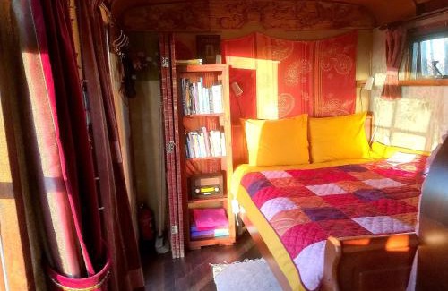 Coevorden Casa | Vegawagen Psyche, een sprookje in Coevorden