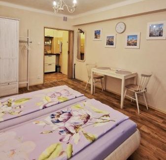 Vokovice Apartamento | Veles Apartment