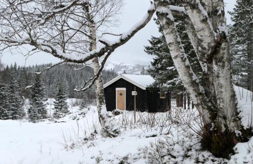Brønnøy Casa | Velfjord Camping & Hytter