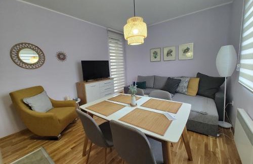 Zlatibor Apartamento | Velika Recepcija 11
