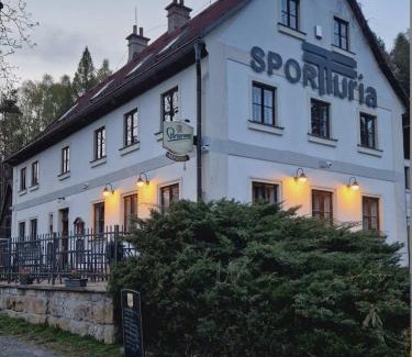 Rynoltice Apartamento | Velký rodinný pokoj v penzionu Sportturia