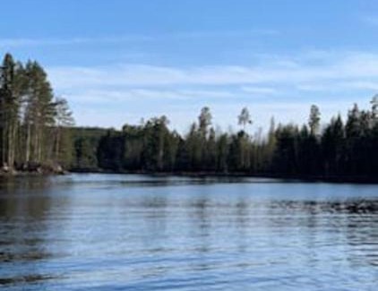Kongsvinger Casa | Velkommen til Finnskogen og minihytta Rimbila
