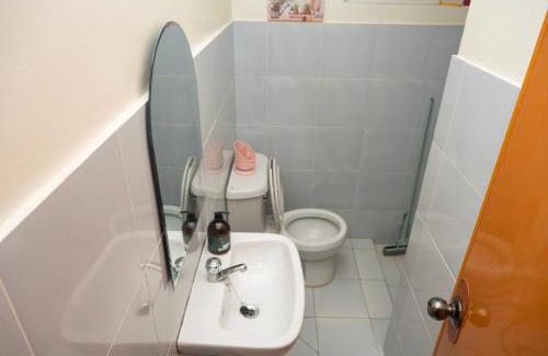 Dauis Complejo | Velmiro 514