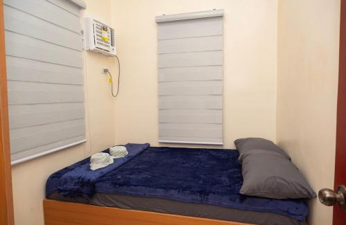 Dauis Complejo | Velmiro 514