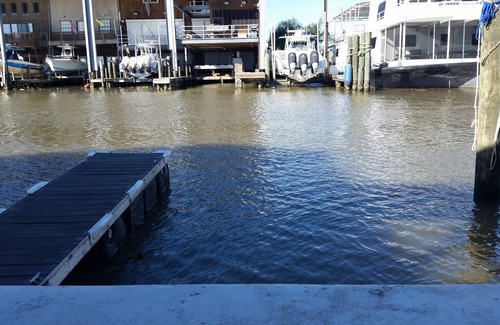 Venice Alquiler De Eote | Alquiler de casa flotante en Venecia + tarifa de limpieza de $ 75, y servicio de vigilancia de la costa. com