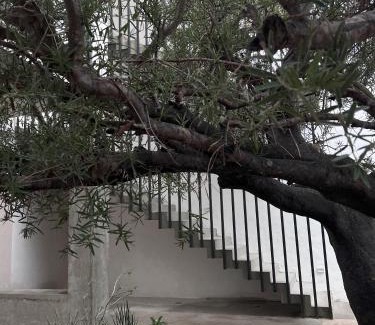 La Ventana Apartamento | Ventonorte