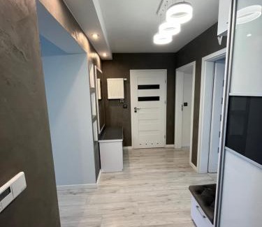 Zamosc Apartamento | Venus