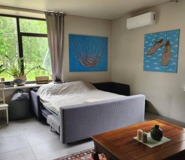 Vilnius County Apartamento | VEPA