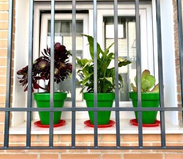 Antequera Apartamento | Verde Oliva Albero Limon