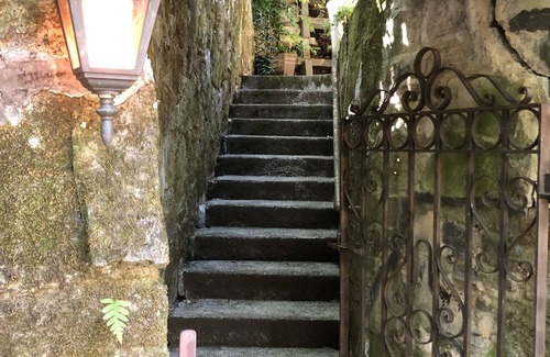 Fairfax Cabaña | Bird House-Retiro de jardín mágico en los robles