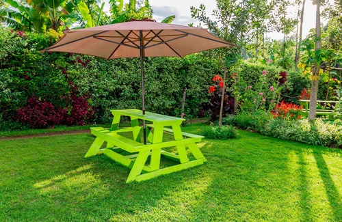 Embu Cabaña | Very quiet Retreat outside city pollution/pet friendly