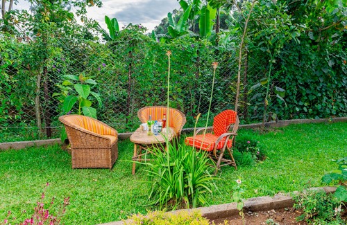 Embu Cabaña | Very quiet Retreat outside city pollution/pet friendly