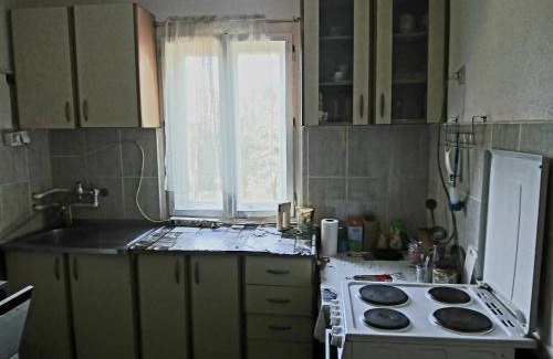 Kraljevo Apartamento | Vesna