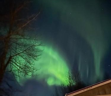 Olafsvellir Casa | Vesturkot horse farm Guesthouse