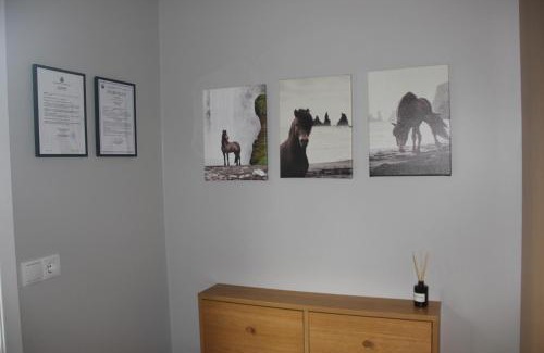 Olafsvellir Casa | Vesturkot horse farm Guesthouse