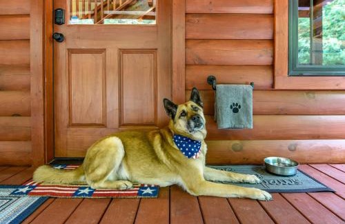 Pigeon Forge Casa | Veteran Host Pets Allowed Sleeps 4 No Minimum Nights