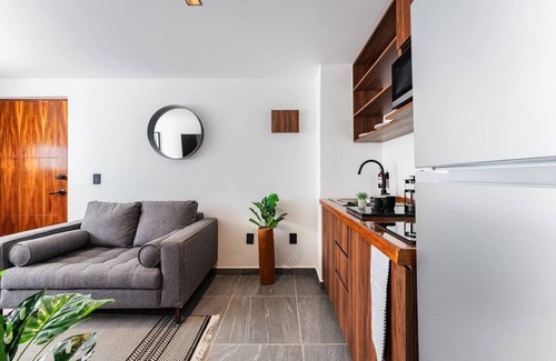 Santa Maria la Ribera Apartamento | VH | Cálido depa Sta Ma la Ribera 1 BR + gym | 132