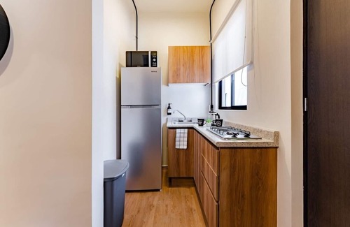 Miguel Hidalgo Apartamento | VH | Depa con estilo Polanco | gymandrooftop | 419