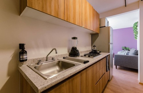 Miguel Hidalgo Apartamento | VH | Depa familiar + gym | Cerca Polanco | 429