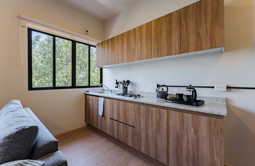 Miguel Hidalgo Apartamento | VH | Espacioso depa 2 hab + gym | Polanco | 427