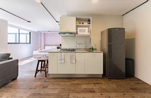 Escandon Apartamento | VH | Loft minimalista + gym and wifi | Condesa | 247