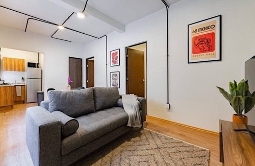 Miguel Hidalgo Apartamento | VH | Nuevo Polanco Apt | 2 hab + wifi | 262