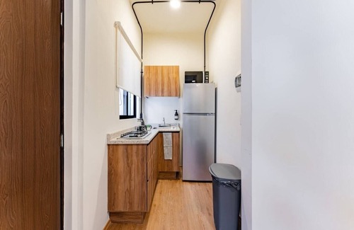 Miguel Hidalgo Apartamento | VH | Nuevo Polanco Apt | 2 hab + wifi | 262