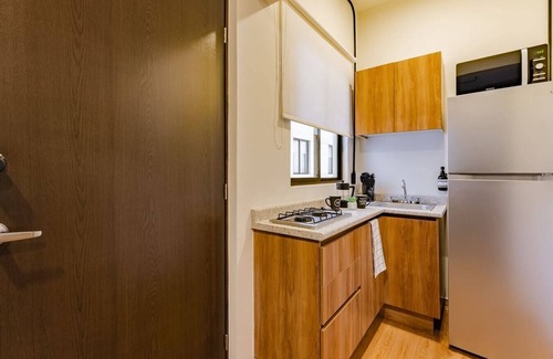 Miguel Hidalgo Apartamento | VH | Nuevo Polanco 1 BR + kitchenette and wifi | 355
