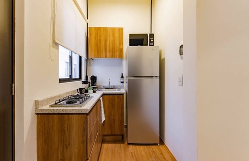 Miguel Hidalgo Apartamento | VH | Nuevo Polanco 1 BR + kitchenette and wifi | 355