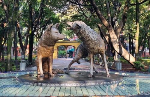 Coyoacan Apartamento | Viñedito del coyote, Coyoacán